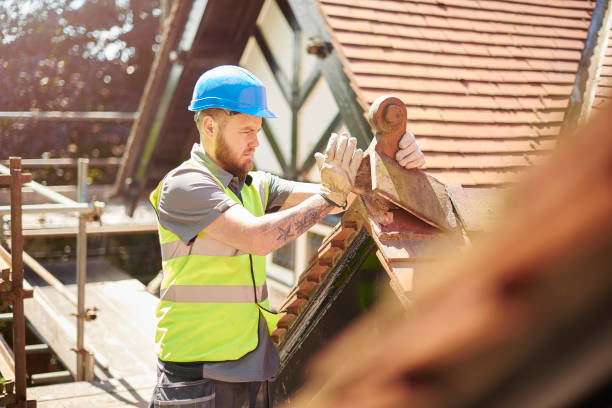 Best Flat Roof Repair Services  in Holly Springs, NC